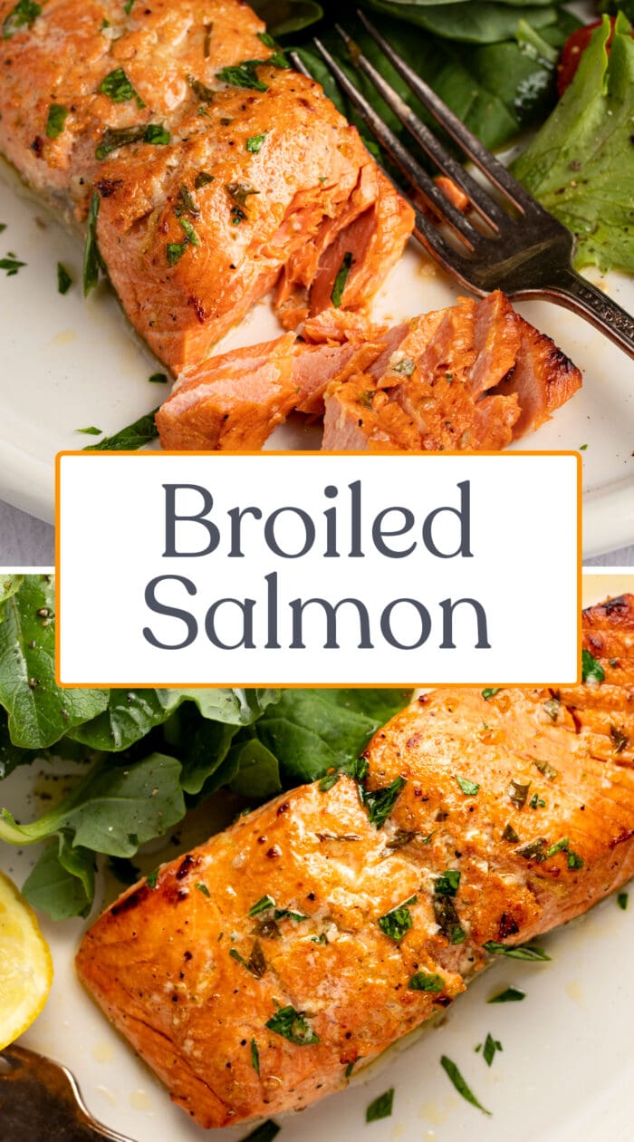 Pin graphic for broiled salmon