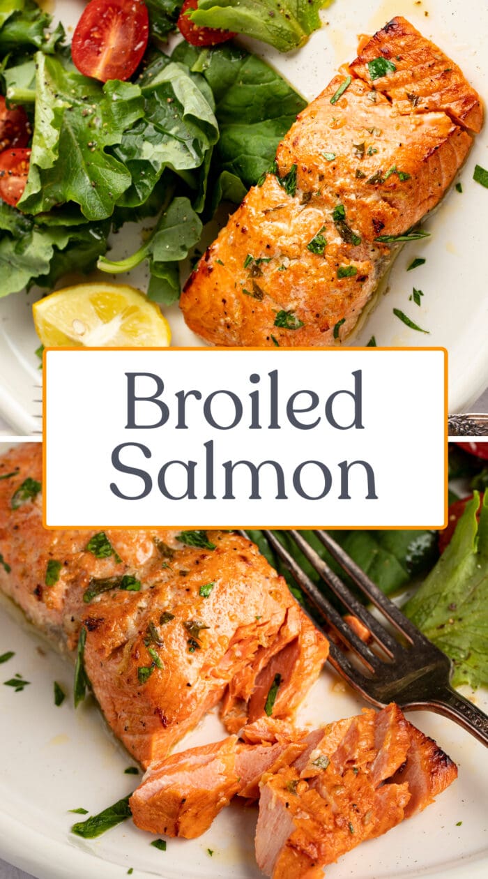 Pin graphic for broiled salmon