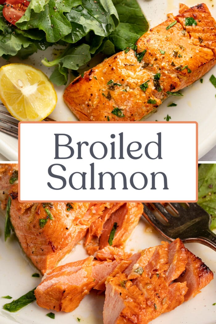 Pin graphic for broiled salmon