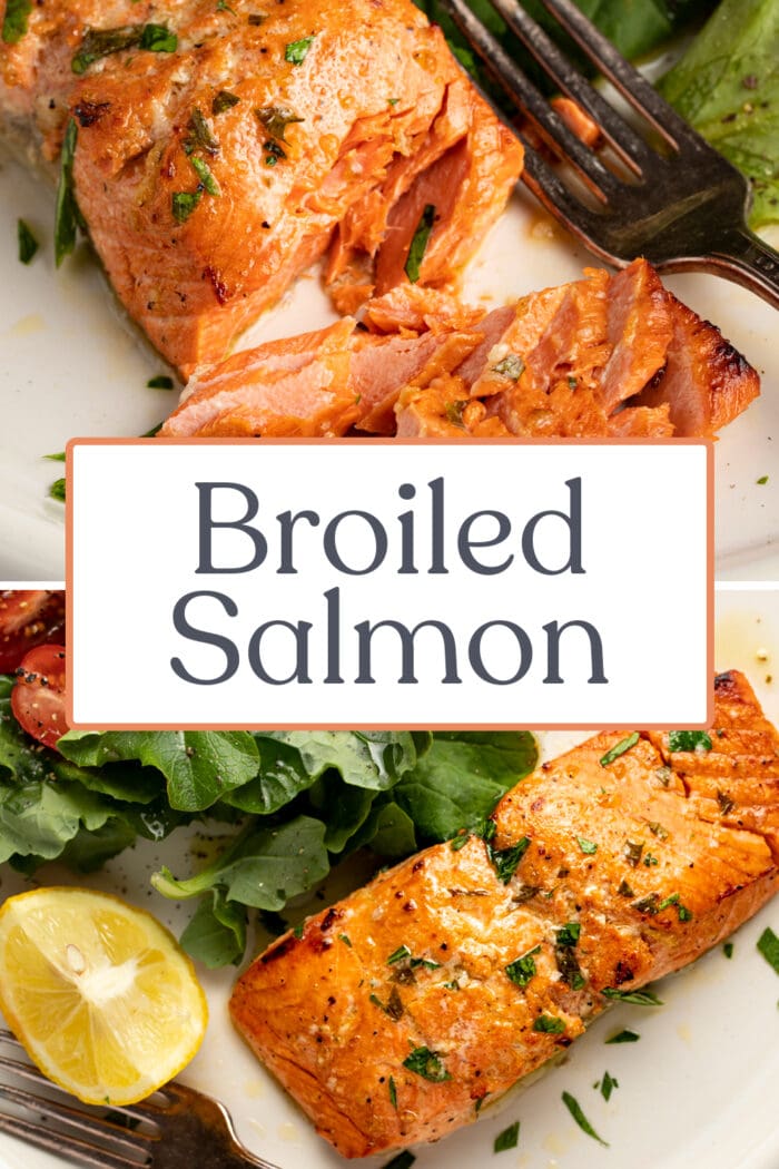 Pin graphic for broiled salmon