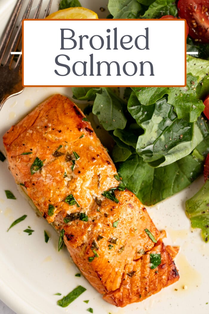 Pin graphic for broiled salmon