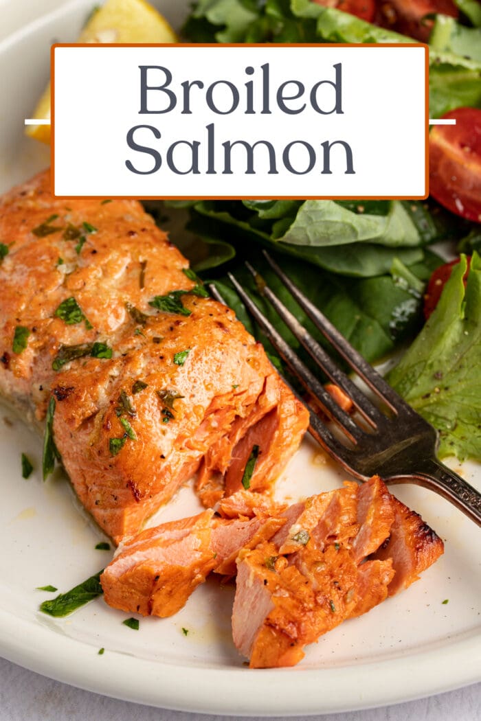 Pin graphic for broiled salmon