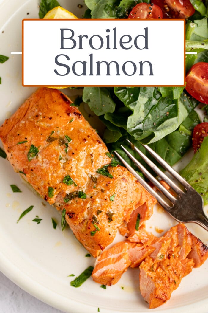 Pin graphic for broiled salmon