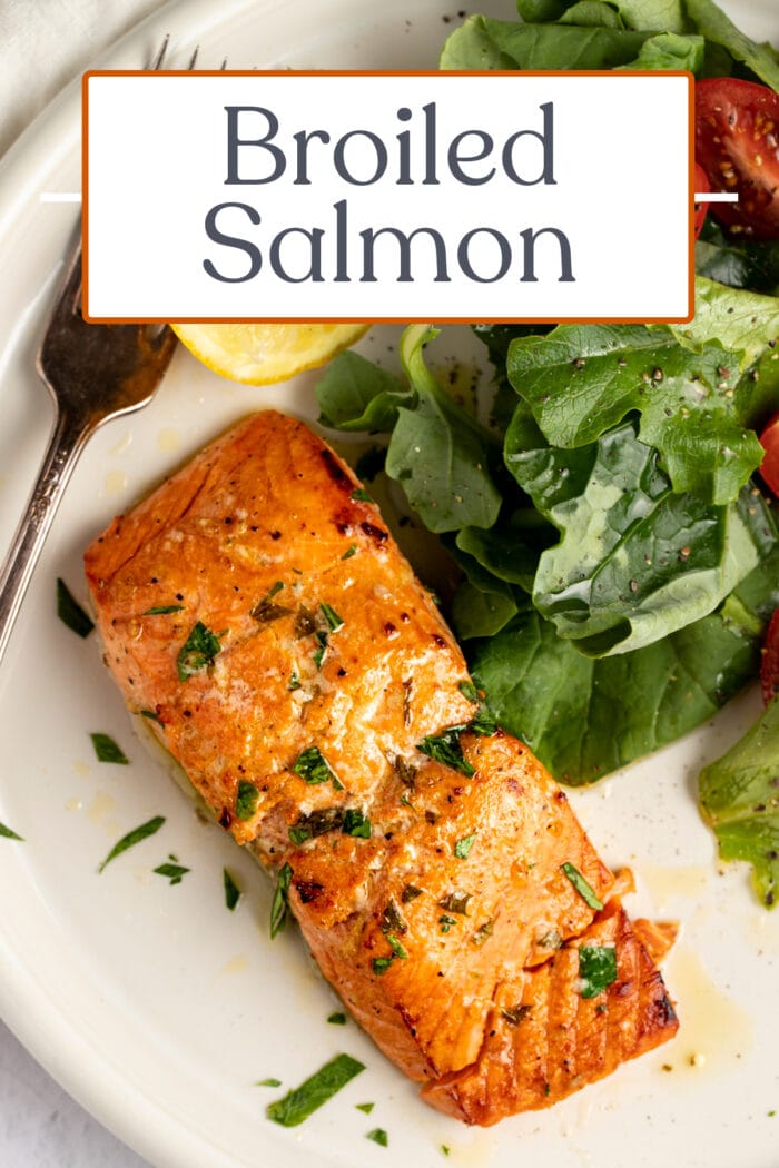 Pin graphic for broiled salmon