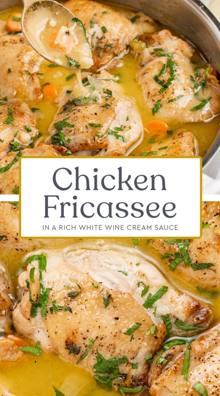 Pin graphic for chicken fricassee