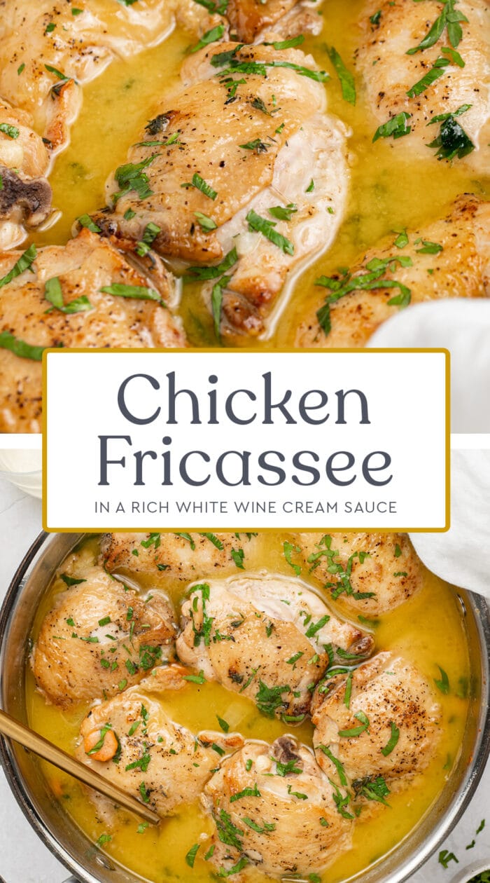 Pin graphic for chicken fricassee