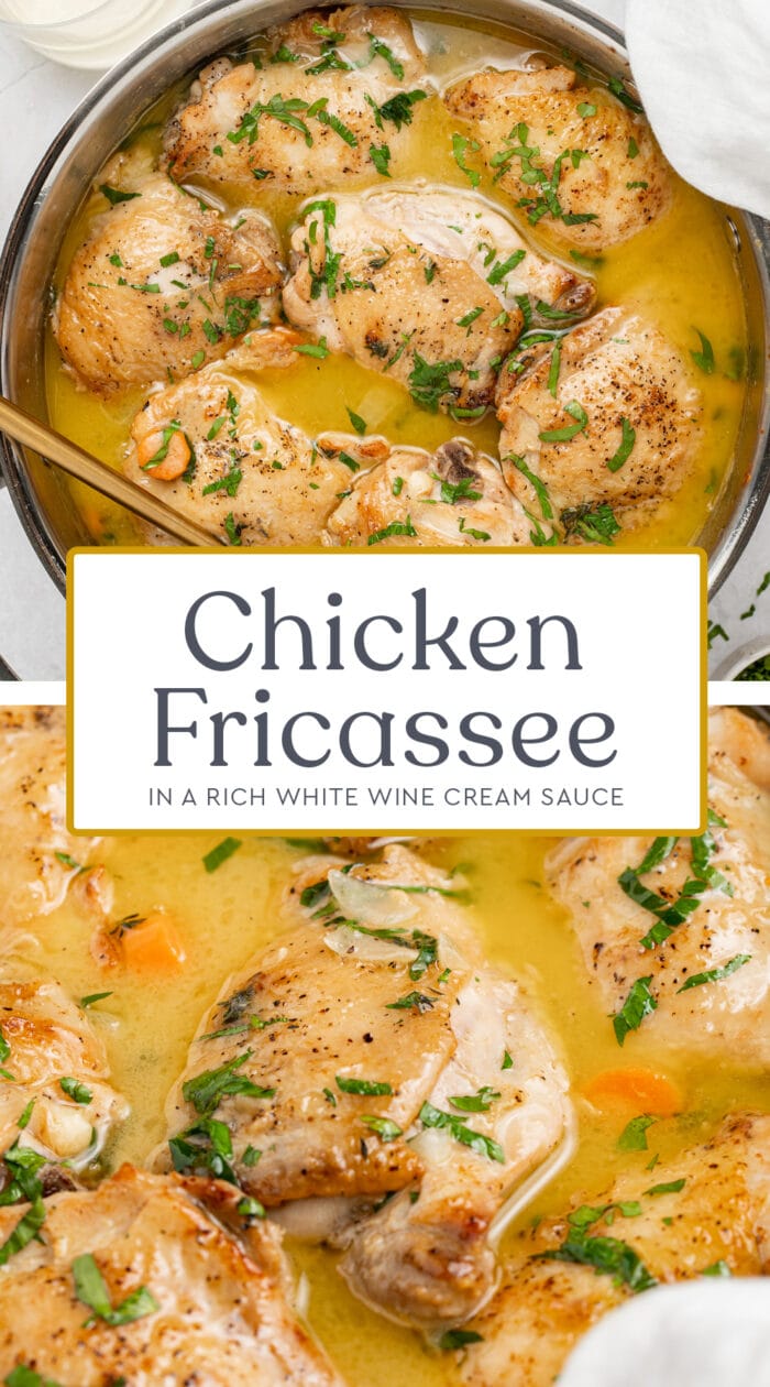 Pin graphic for chicken fricassee