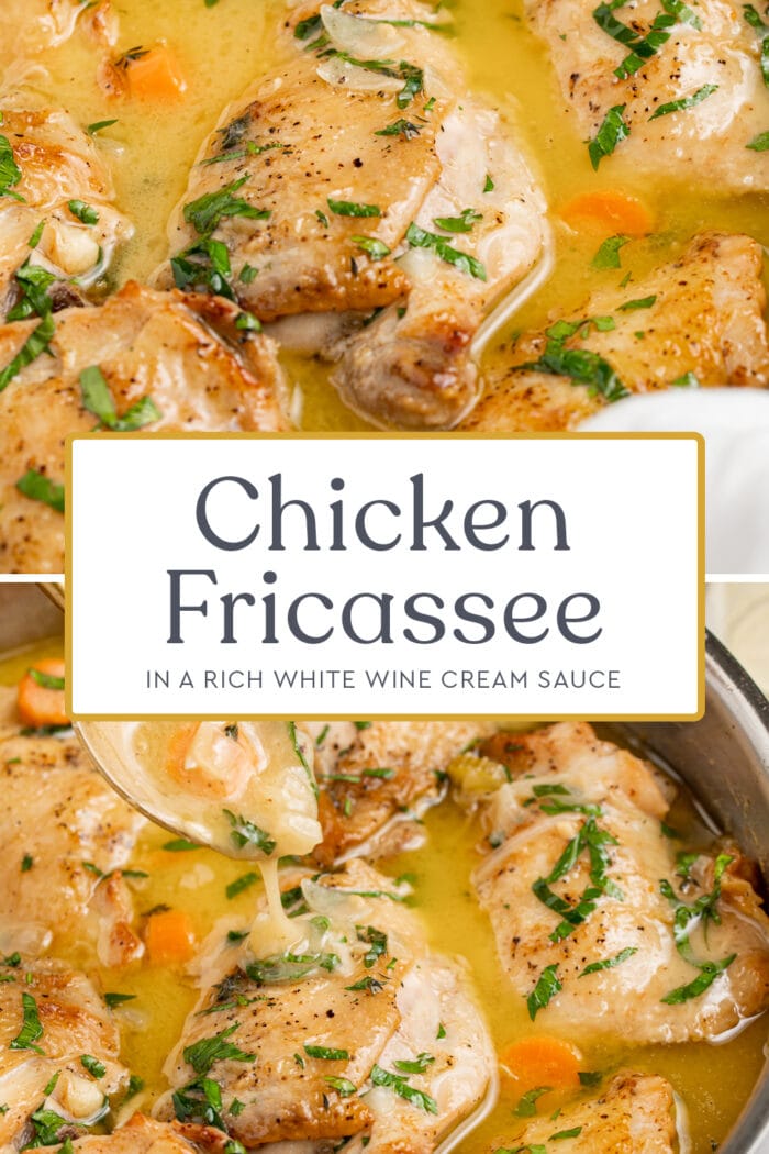 Pin graphic for chicken fricassee