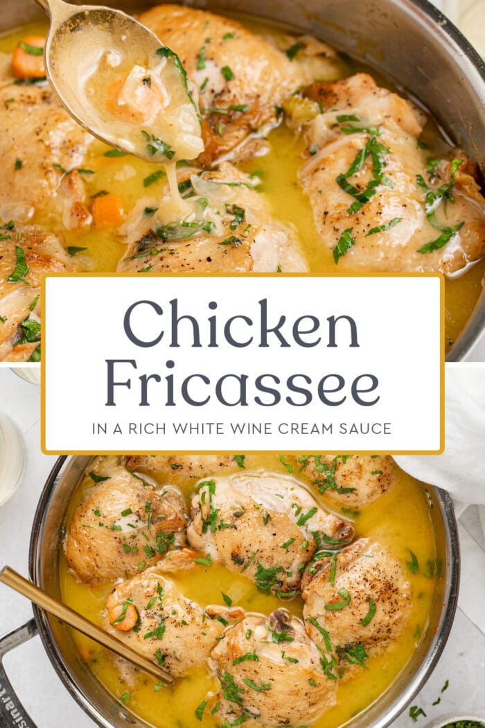 Pin graphic for chicken fricassee