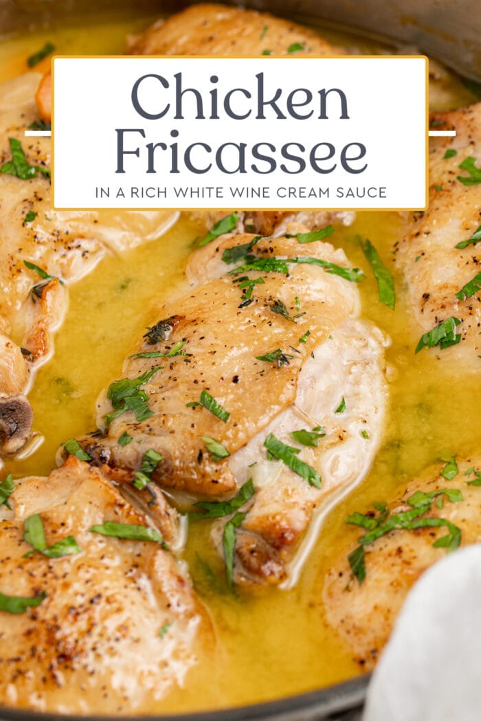 Pin graphic for chicken fricassee