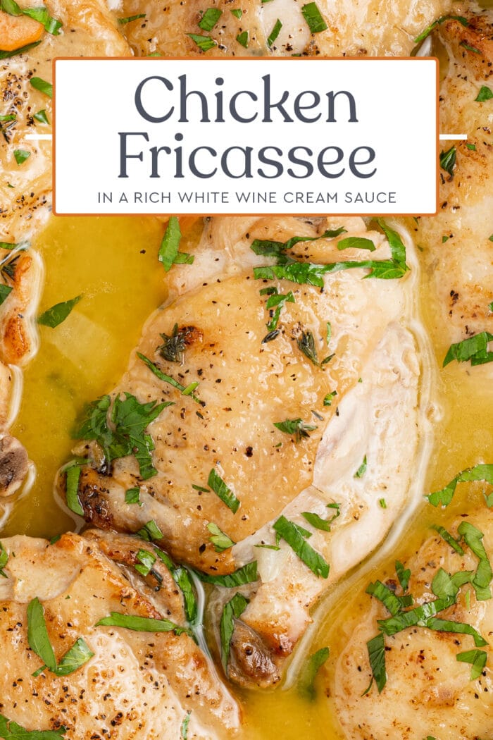 Pin graphic for chicken fricassee