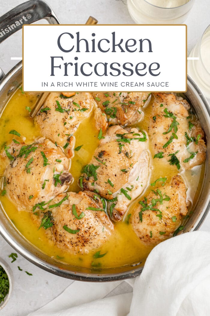 Pin graphic for chicken fricassee