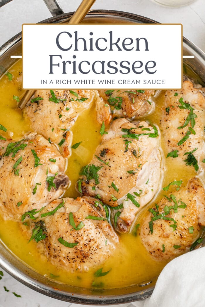 Pin graphic for chicken fricassee