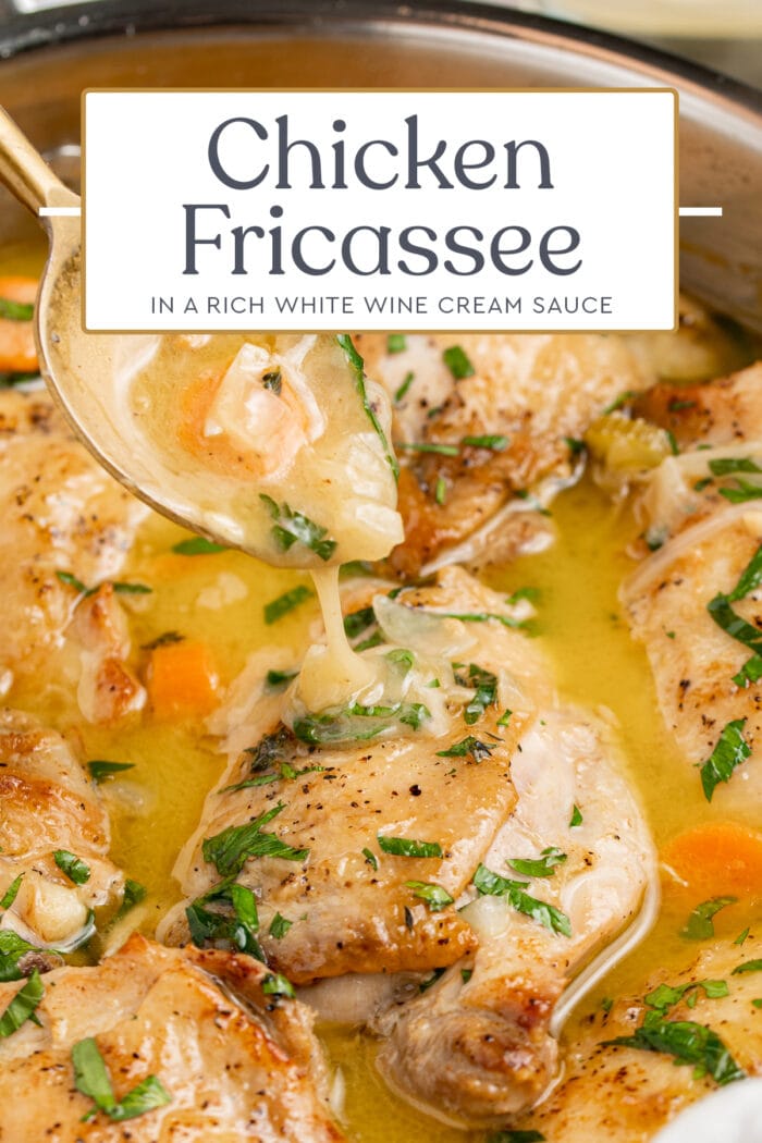 Pin graphic for chicken fricassee