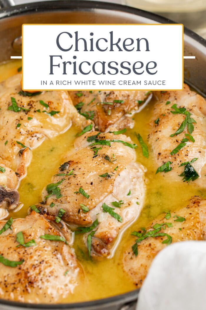 Pin graphic for chicken fricassee