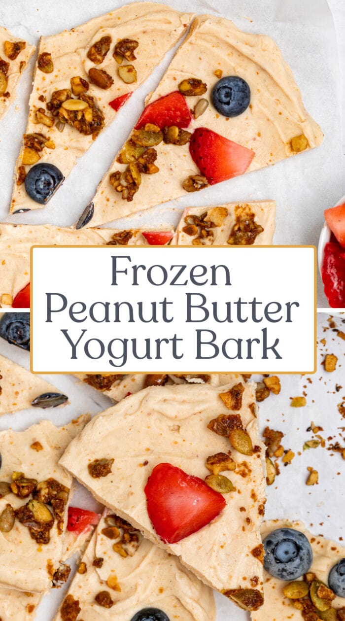 Pin graphic for yogurt bark