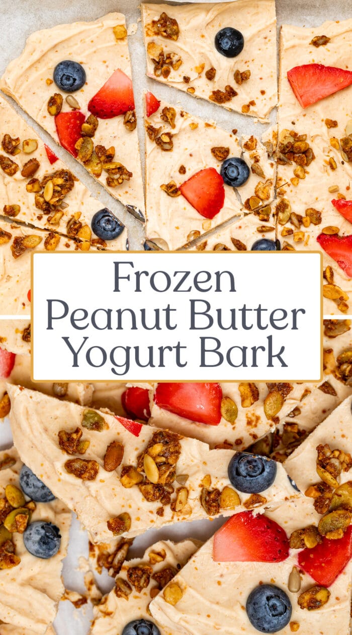 Pin graphic for yogurt bark