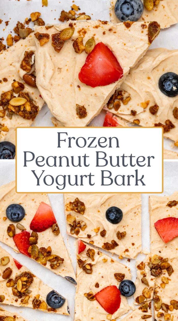 Pin graphic for yogurt bark