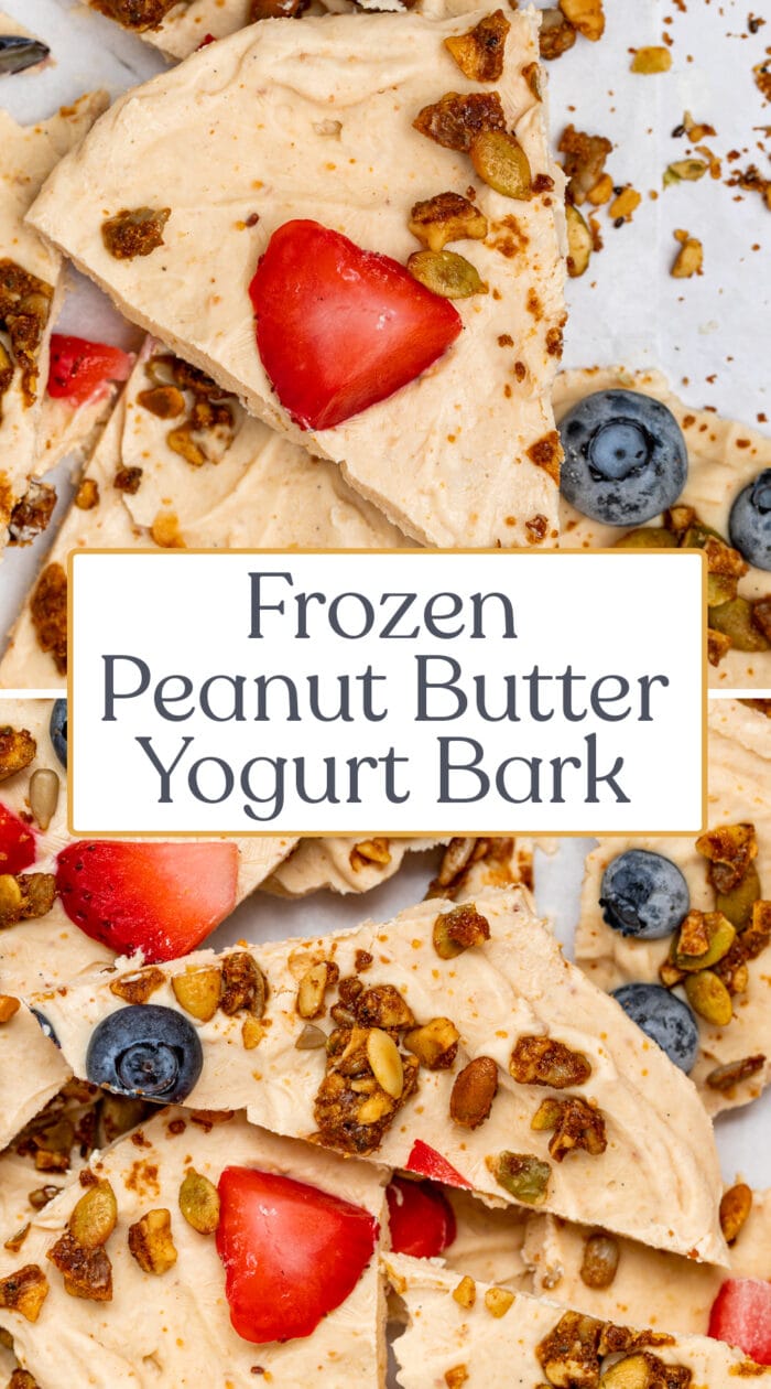 Pin graphic for yogurt bark