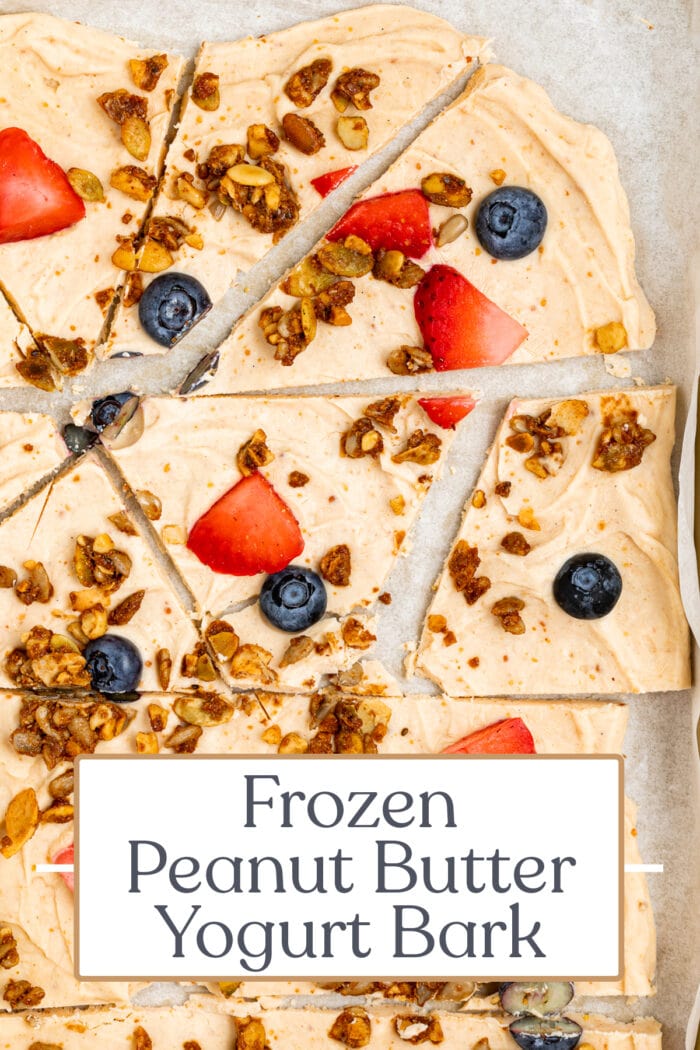 Pin graphic for yogurt bark