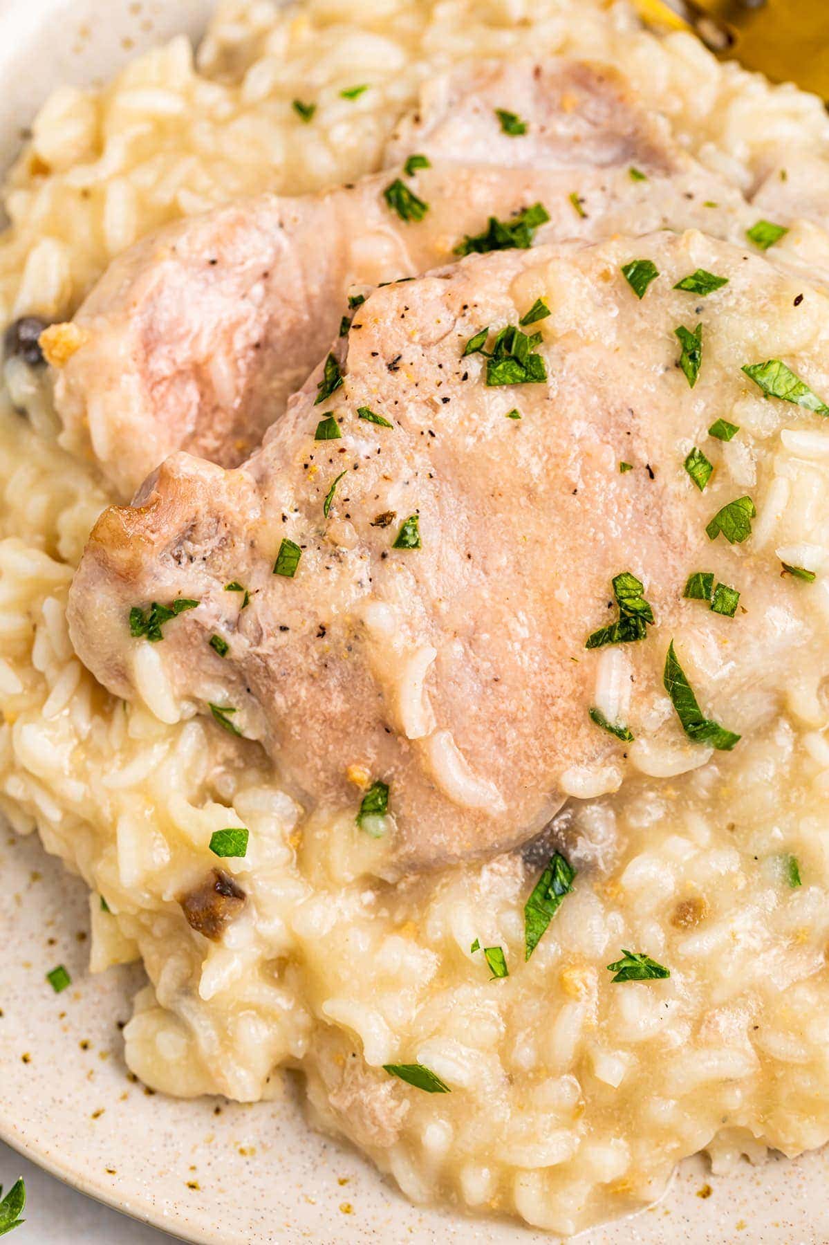 Pork chops and rice in a large bowl