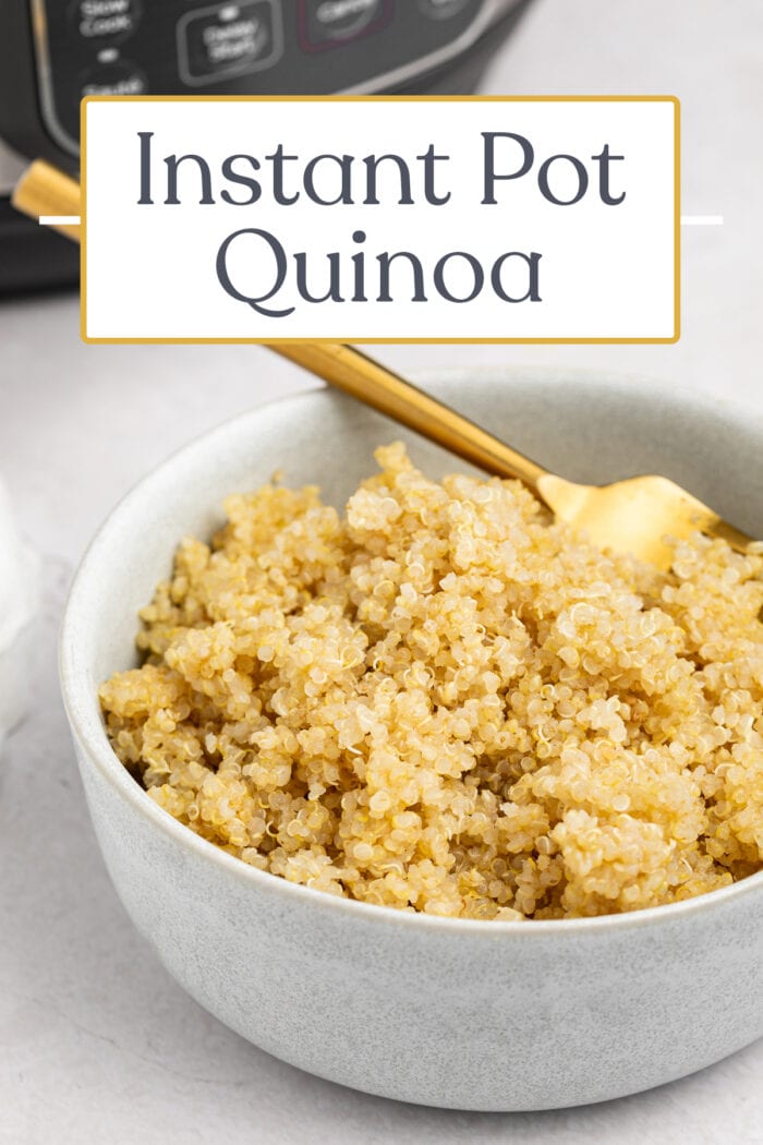 Pin graphic for Instant Pot quinoa