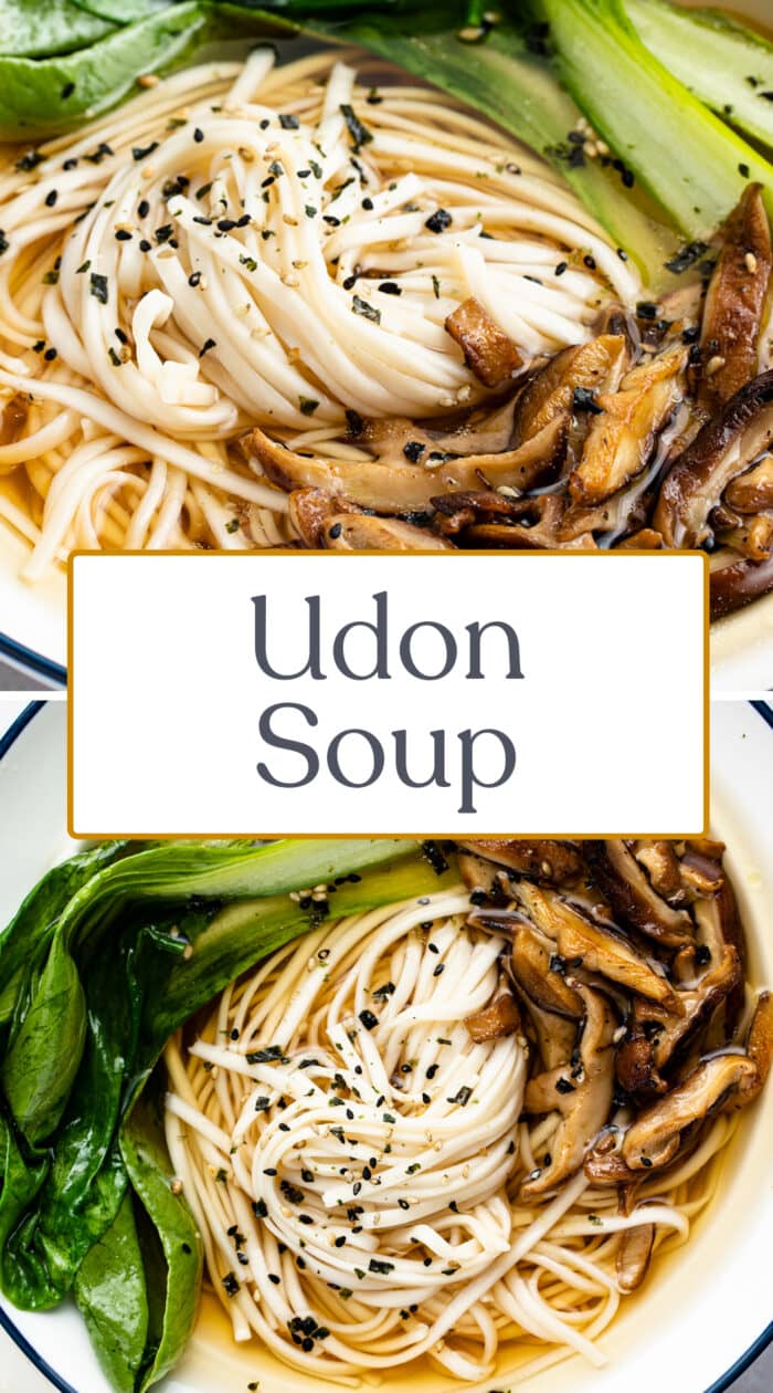 Pin graphic for udon soup