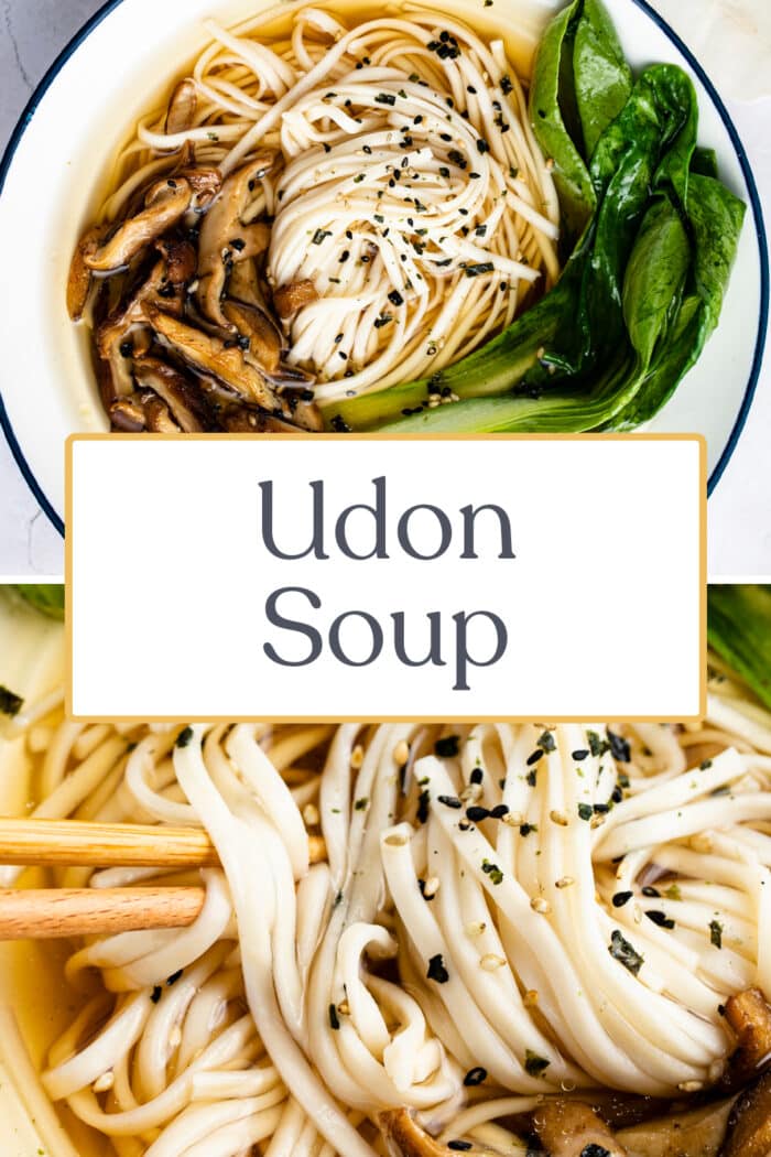 Pin graphic for udon soup