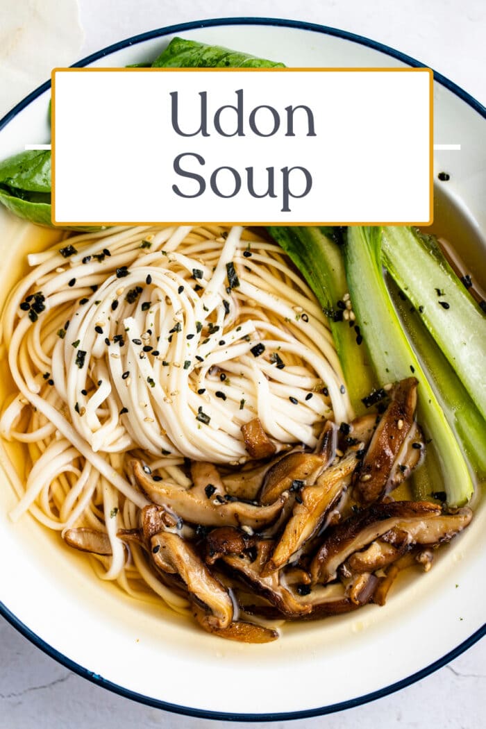 Pin graphic for udon soup