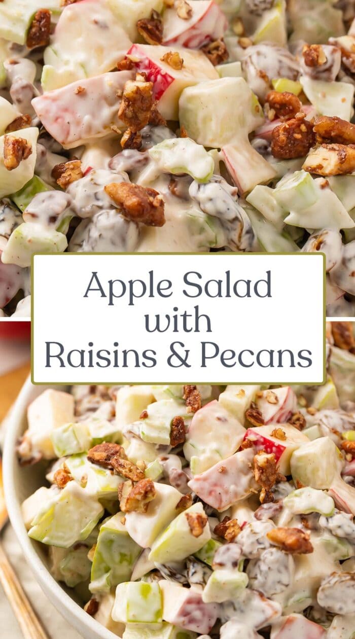 Pin graphic for apple salad