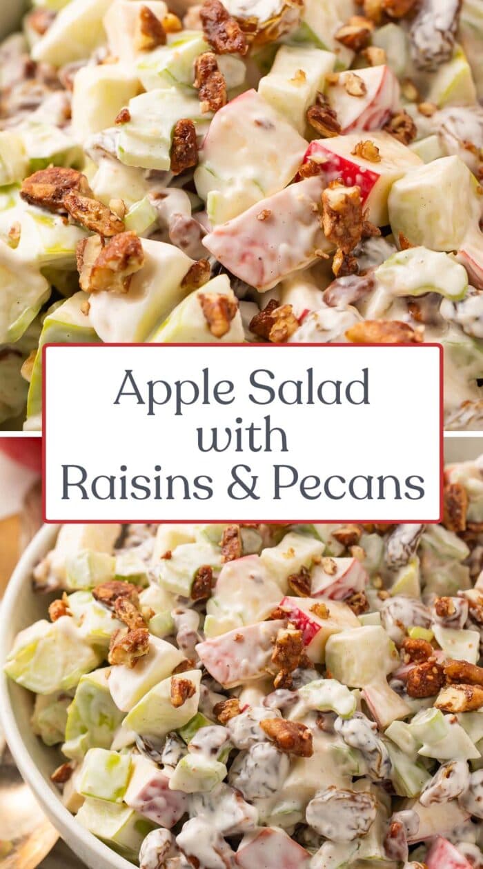 Pin graphic for apple salad