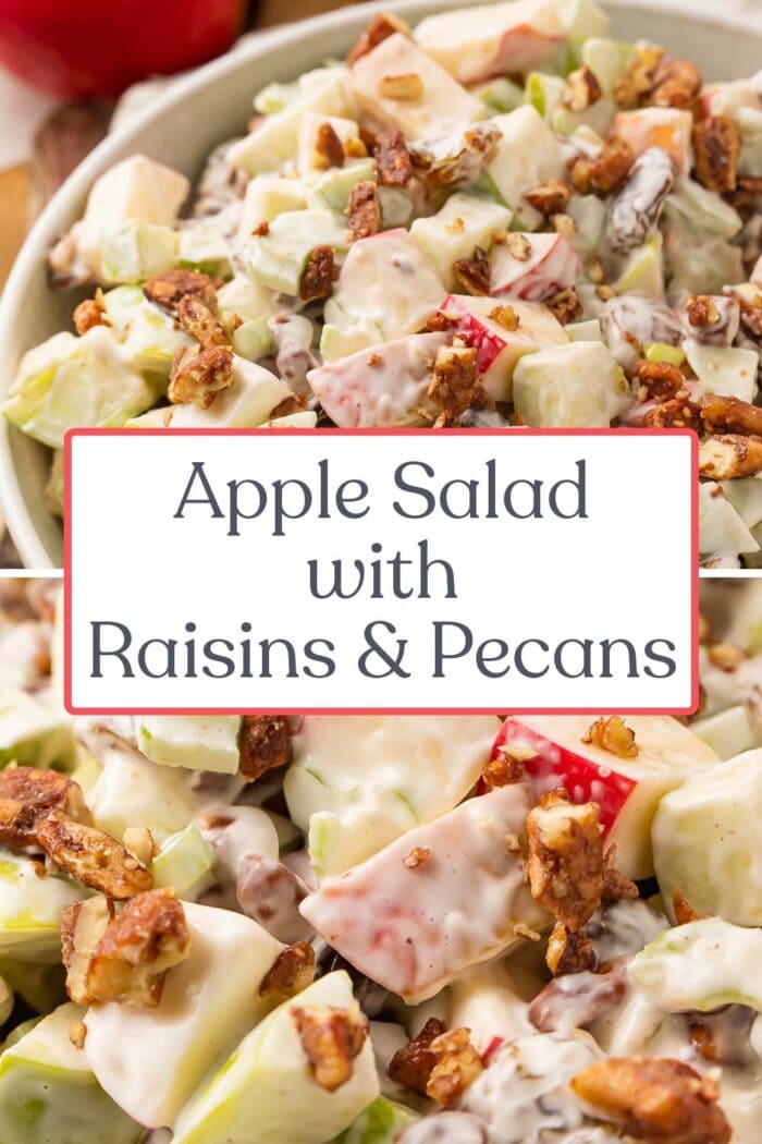 Pin graphic for apple salad