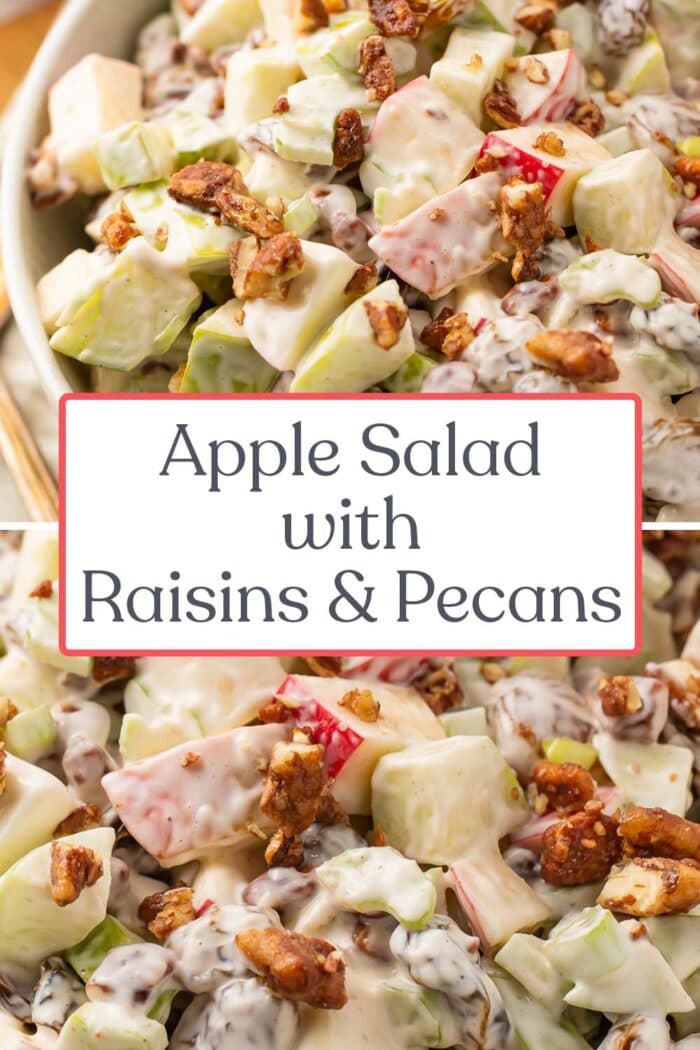 Pin graphic for apple salad