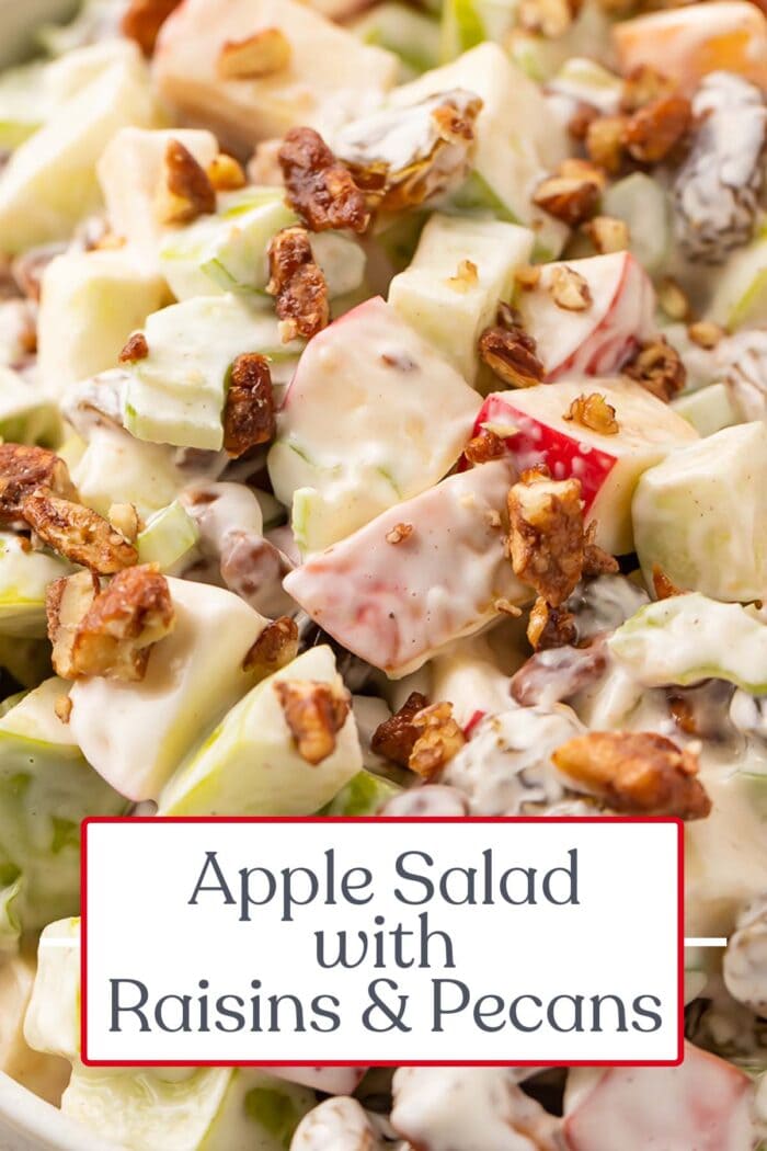 Pin graphic for apple salad