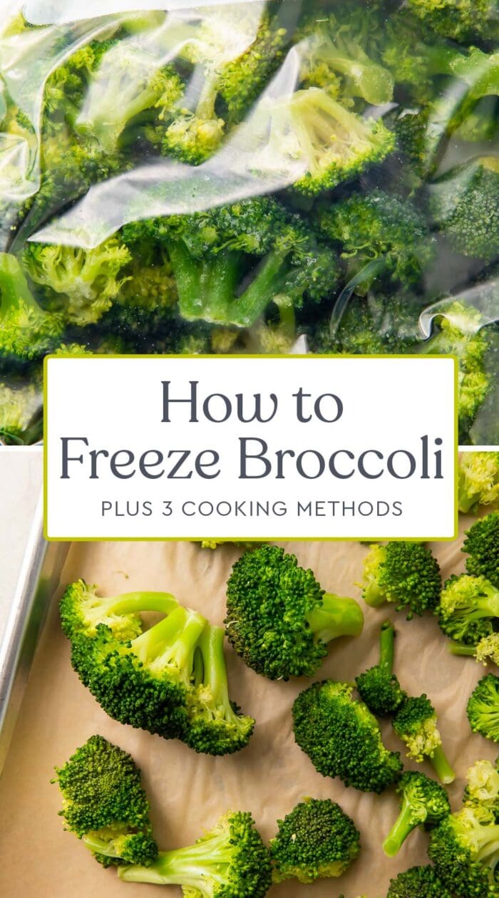 Pin graphic for how to freeze broccoli