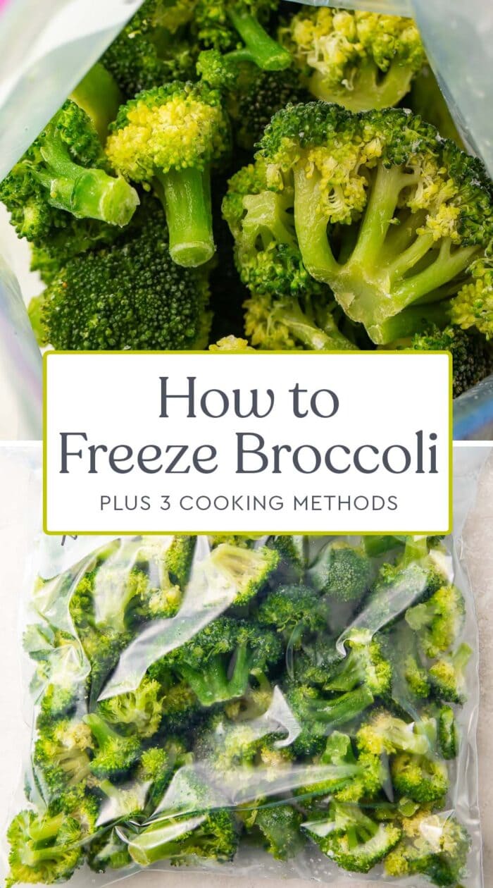 Pin graphic for how to freeze broccoli