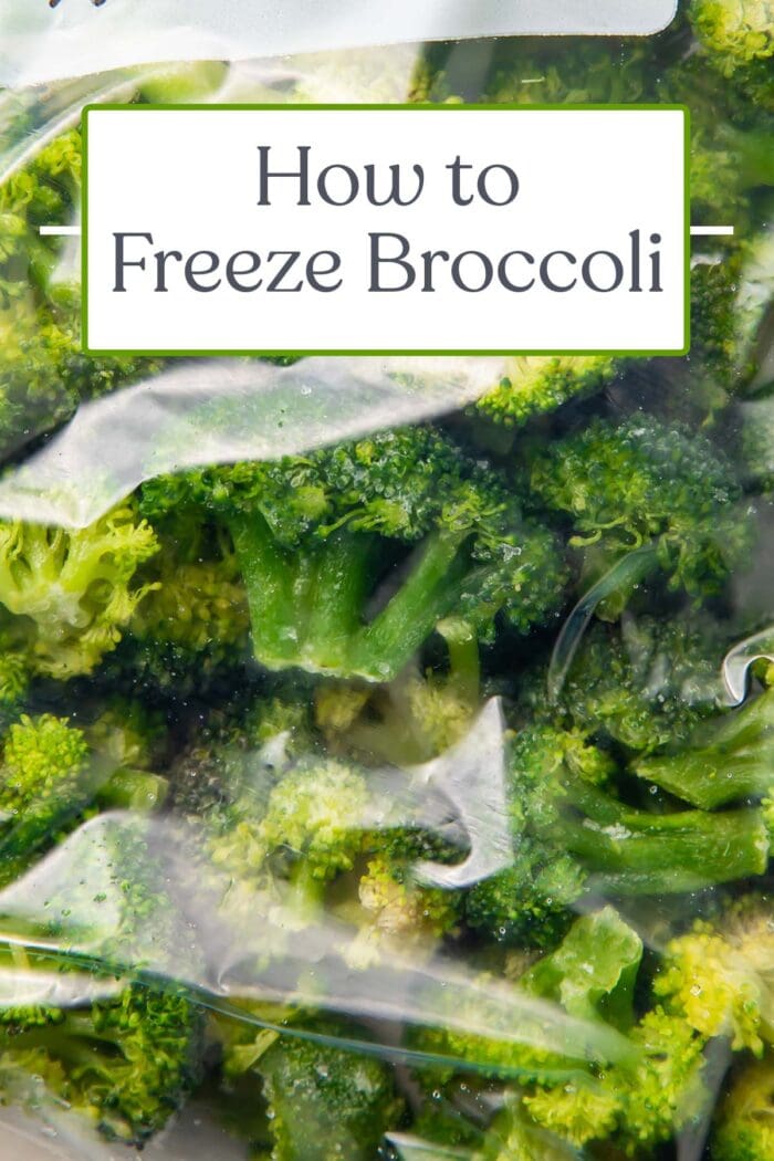 Pin graphic for how to freeze broccoli