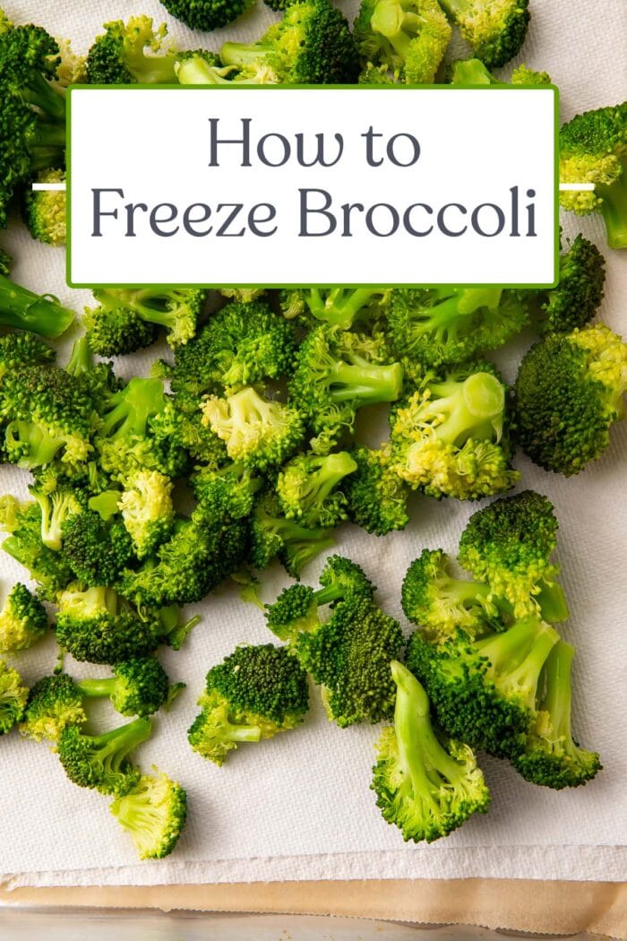 Pin graphic for how to freeze broccoli