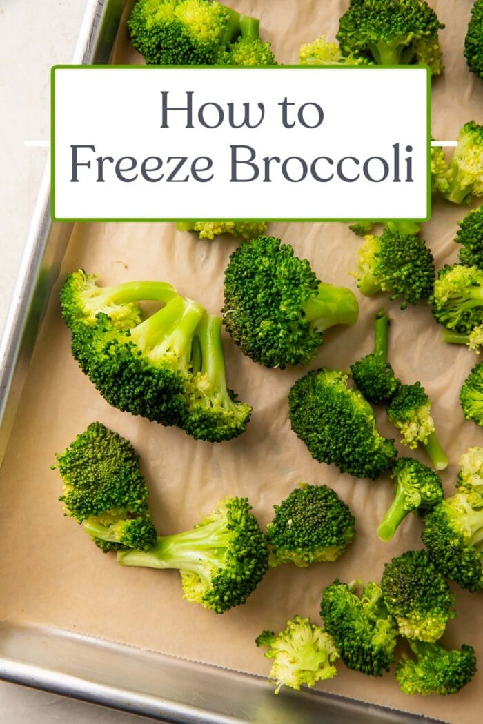 Pin graphic for how to freeze broccoli