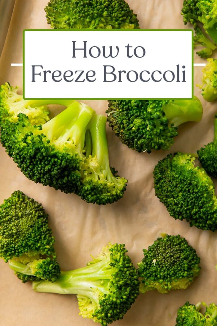 Pin graphic for how to freeze broccoli