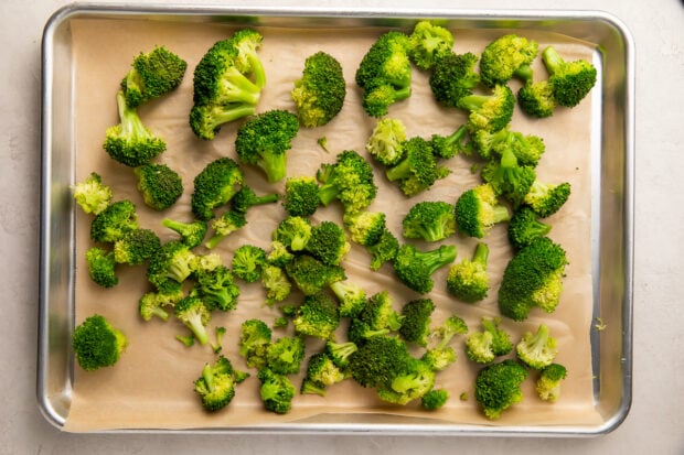 Fresh, cooked, dried broccoli ready to be frozen