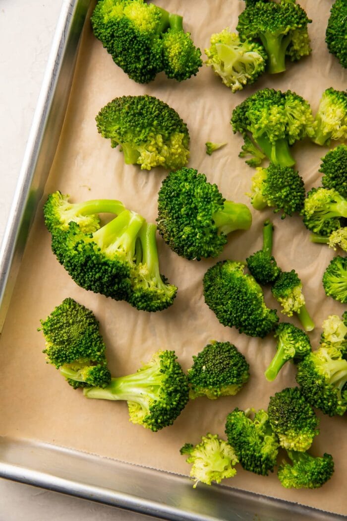 Fresh, cooked, dried broccoli ready to be frozen