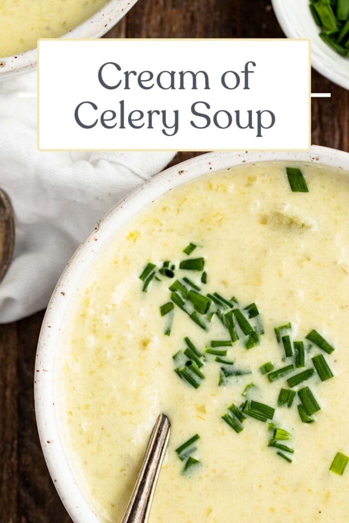 Pin graphic for cream of celery soup