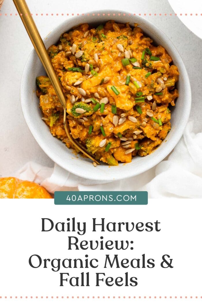 Pin graphic for Daily Harvest review