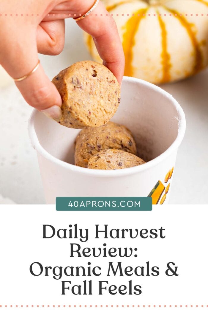 Pin graphic for Daily Harvest review