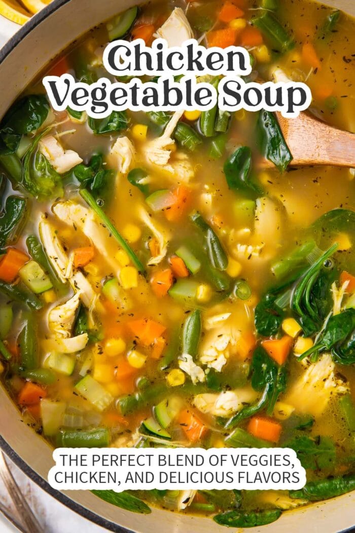 Pin graphic for chicken vegetable soup