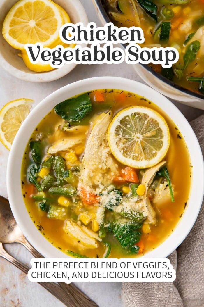 Pin graphic for chicken vegetable soup