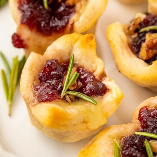 Cranberry brie bites close-up