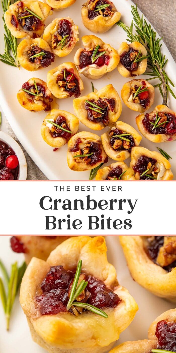 Pin graphic for cranberry brie bites