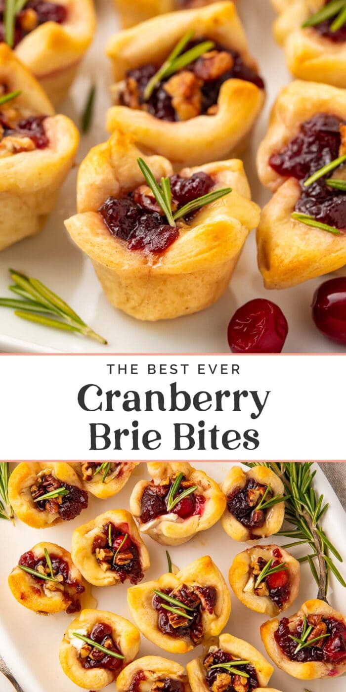 Pin graphic for cranberry brie bites